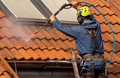 Démoussage et hydrofuge de toiture à Moisy